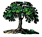 genealogy